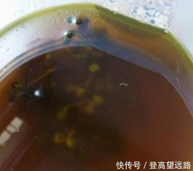 脆皮椒麻鸡,皮脆肉滑,香辣过瘾