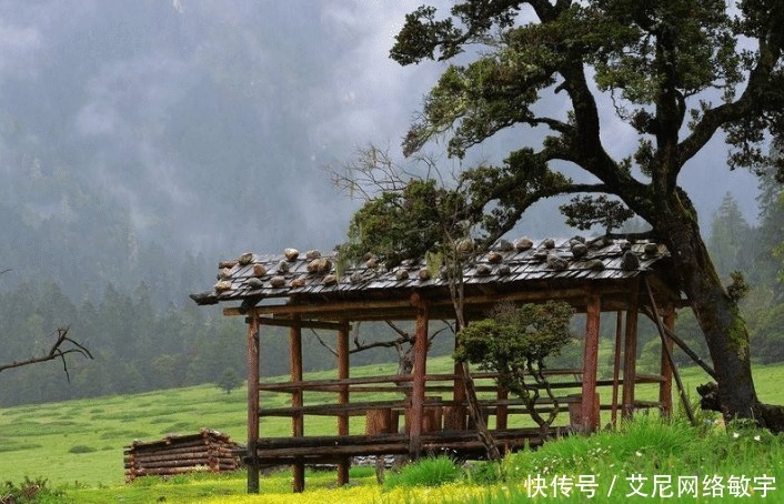  正是|俗语“人到四十五，正是出山虎”，祖先的至理名言，早点知道好！