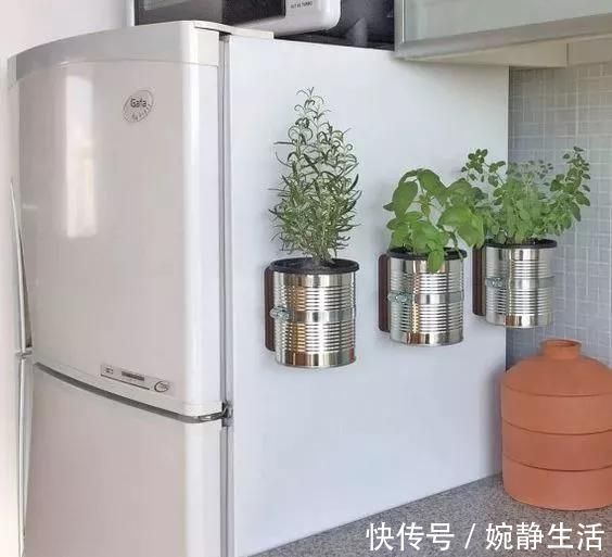 花盆|花盆不用买,变废为宝做一个,比买的还好看,分分钟惊艳朋友圈