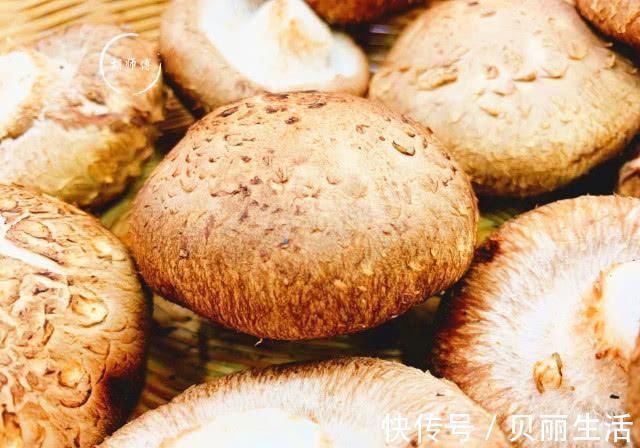 买香菇时，碰到这4种香菇我扭头就走，老板说这人是真正的行家