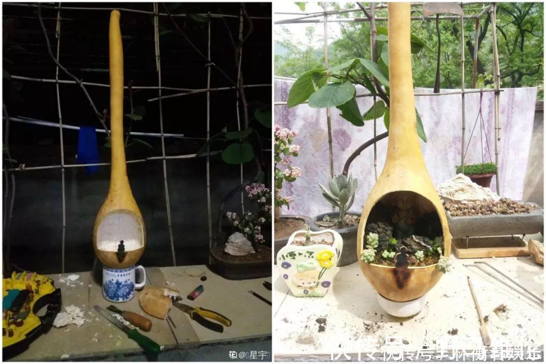 el多肉的花样养法,7种花盆全是自己造的,省钱又好用!