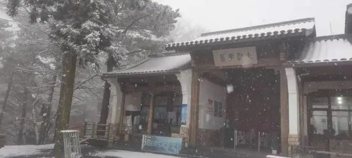 天目山景区|美如仙境！杭州、宁波下雪了，朋友圈看雪走起~