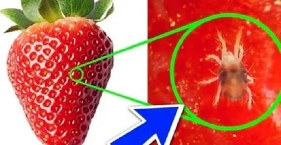 寄生虫|给孩子买水果的家长要注意了,这几种水果不能买!