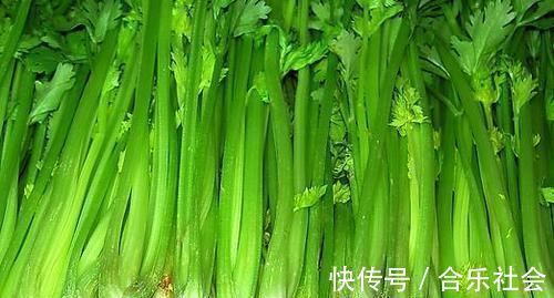 肠毒|经常有便秘的,每天多吃“它”,促消化排肠毒,如厕一拉到底