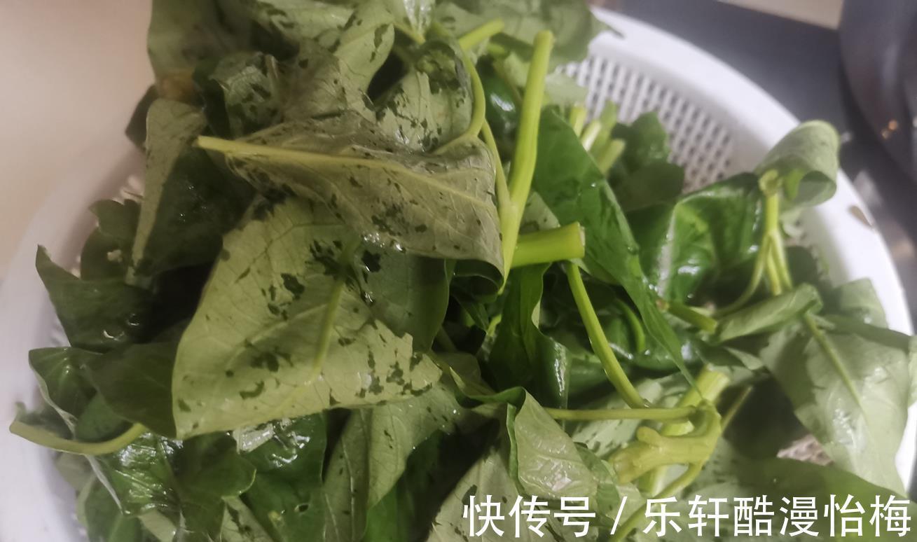 花生油|夏天此菜正当时，钙含量比牛奶高，现在正鲜嫩，错过就真是可惜了