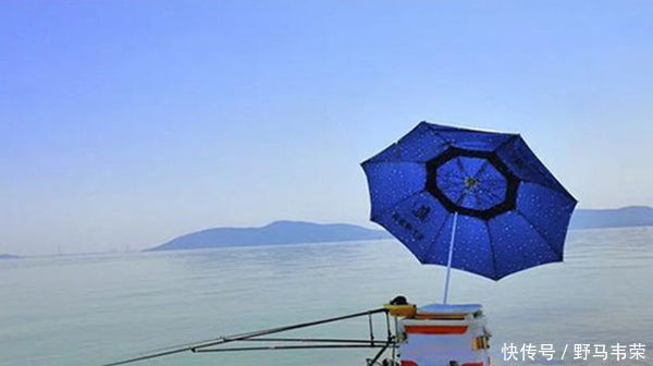 水面|小暑过后钓鱼,5钓5不钓,常用这些老套路,上鱼更多