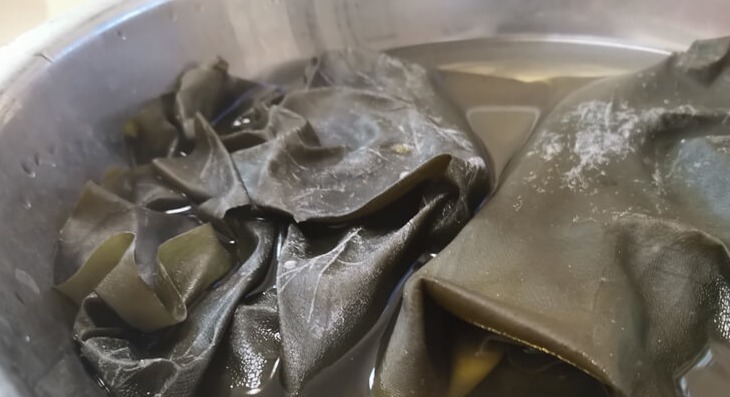 泡海带时,别直接用水泡!再加这2步,快速泡软新鲜无腥味!