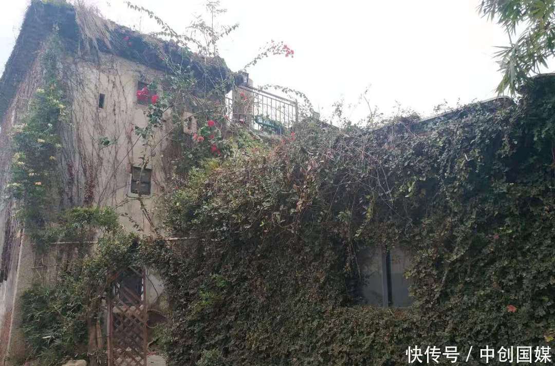 金龟慢:往事经年,历史有声。|这儿有个金龟小镇 | 往事