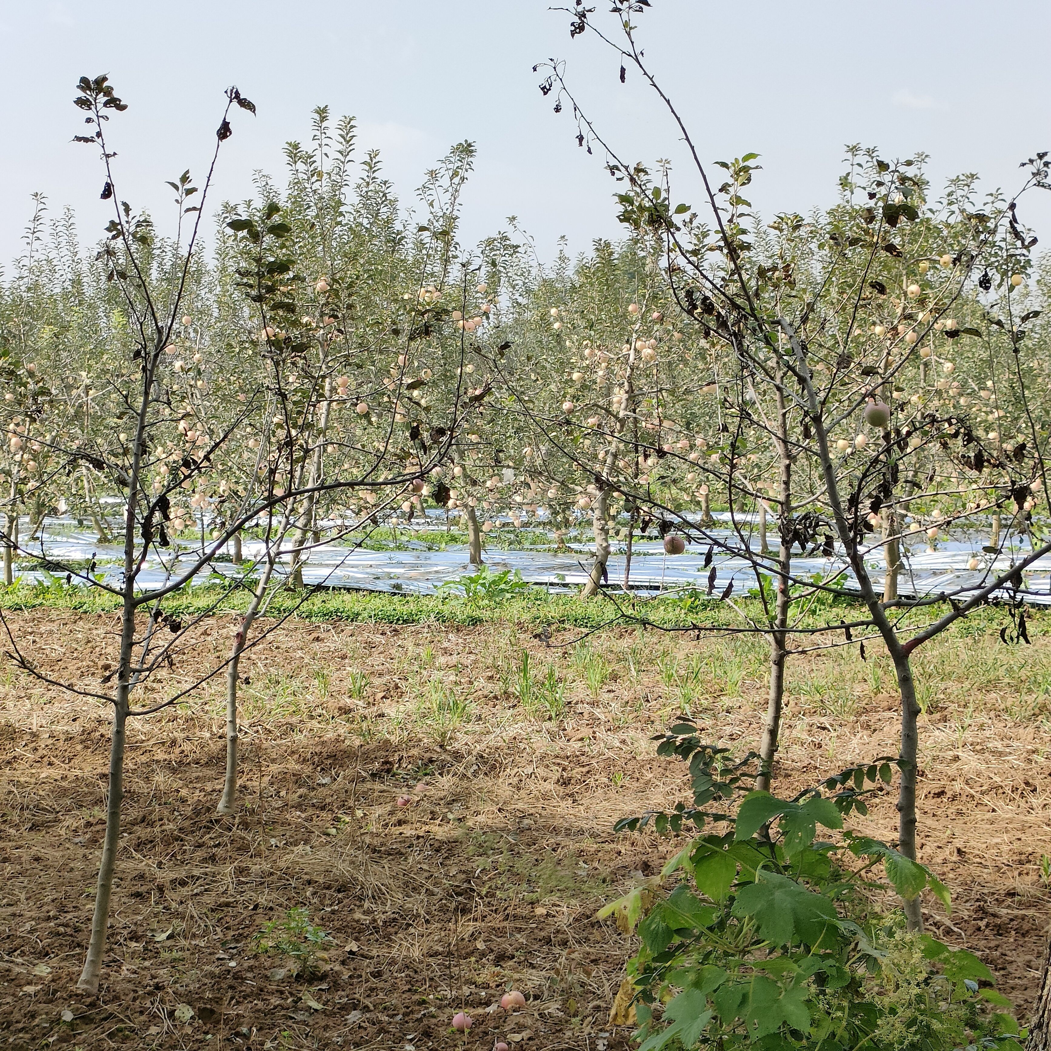 垭口|川进青出-8500公里-只为圣地西藏