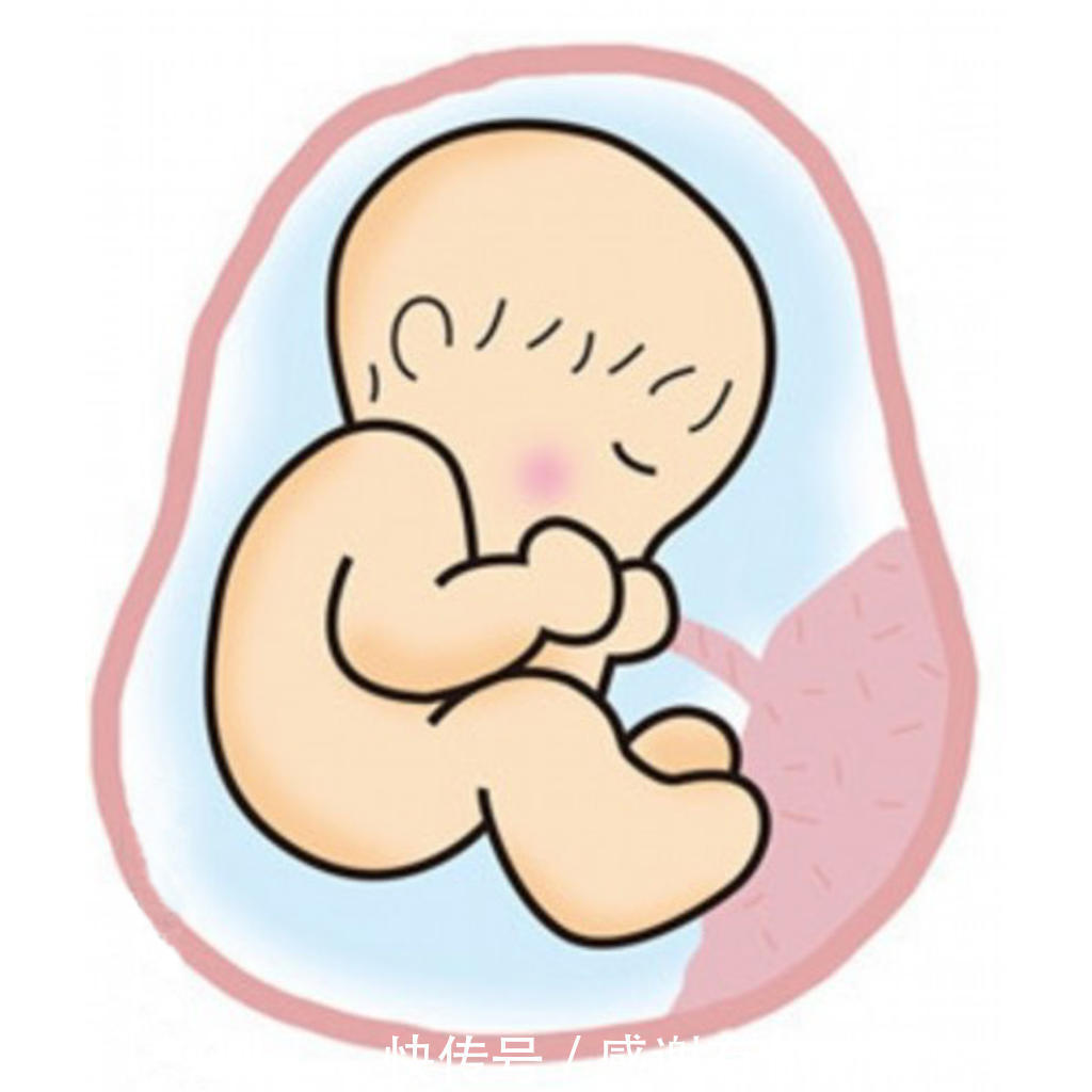 咋回事|孕晚期胎儿在肚中一抖一抖咋回事并不是胎动,而是为出生做准备