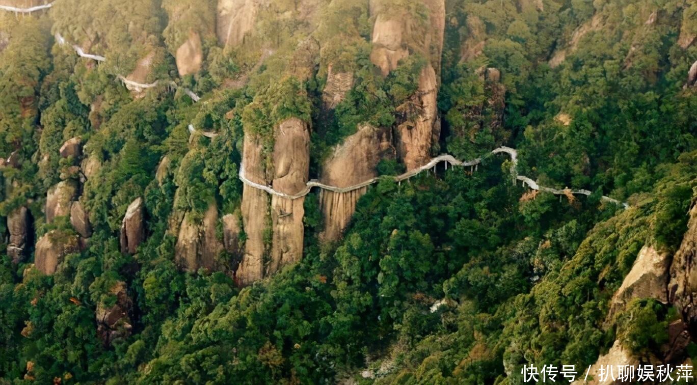 秦始皇在翠云廊留下活宝,此宝的历史有两千多年,我们要好好保护