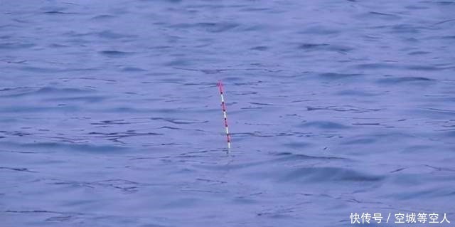 不知道用七星漂还是立漂，看完这篇就知道了