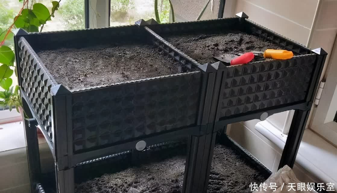 养花用了哪些土壤要早点换掉,旧土该怎么处理好?