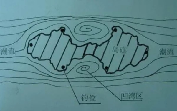 这三招可不简单,用来“对付”大鲤鱼,肯定十拿九稳,秋天用刚刚好
