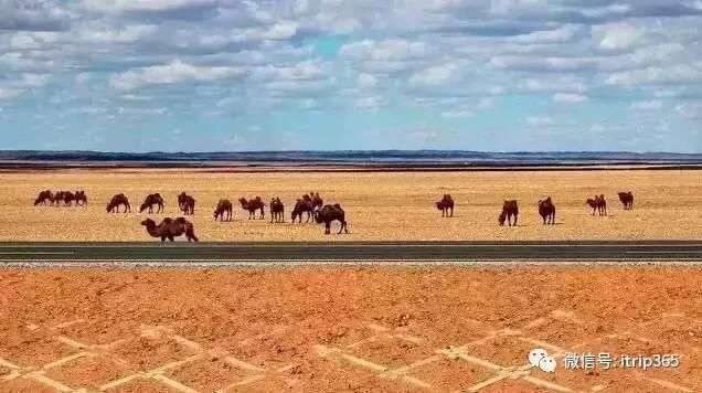 全世界最美高速公路，刚刚开通，就在中国！