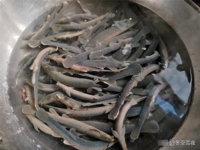 这个鱼被赞为“水中人参”，教你东北做法，不煎不炸，鲜嫩可口