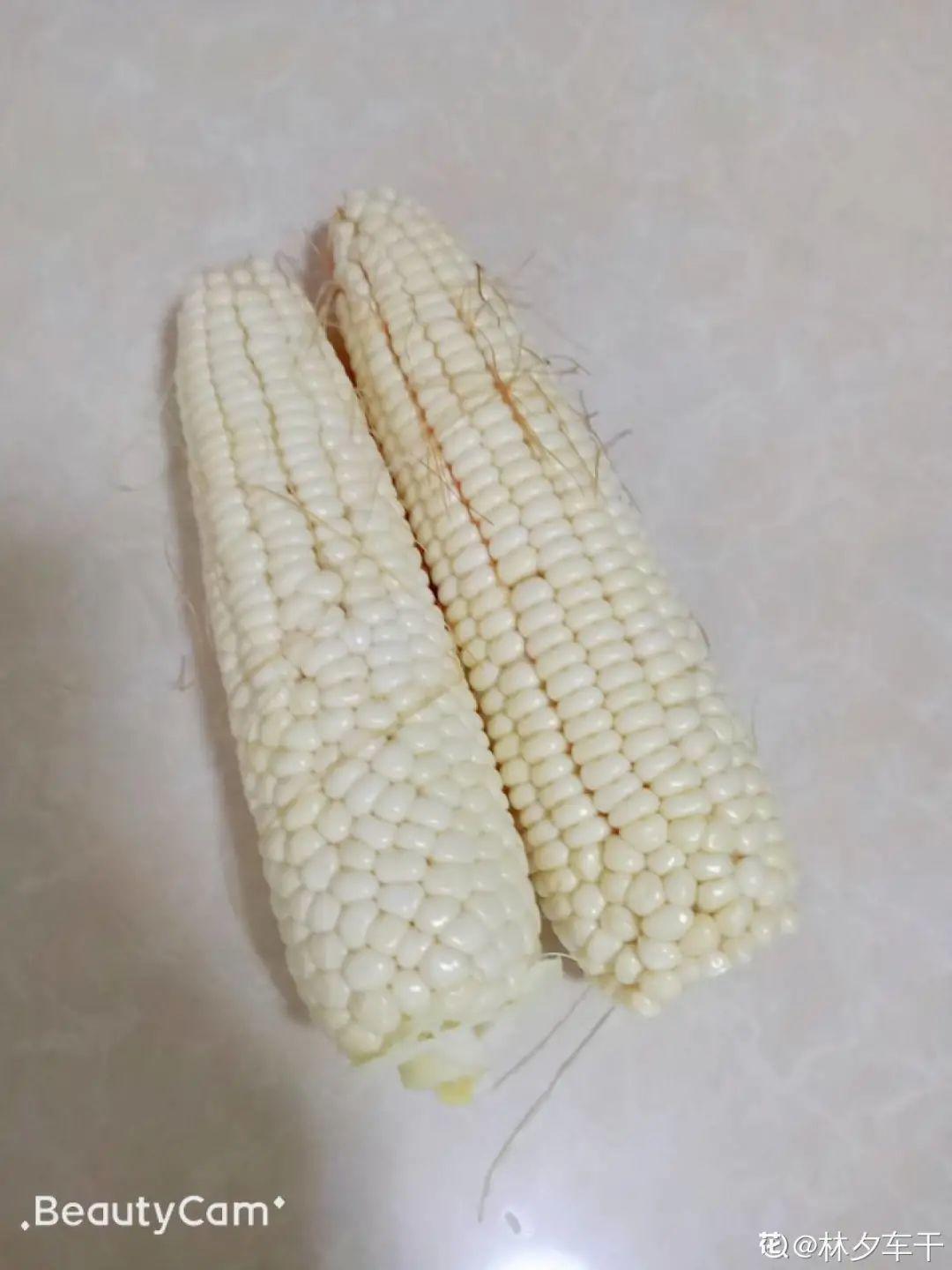 玉米棒子插盆里,7天冒出小森林,比绿萝吊兰好看