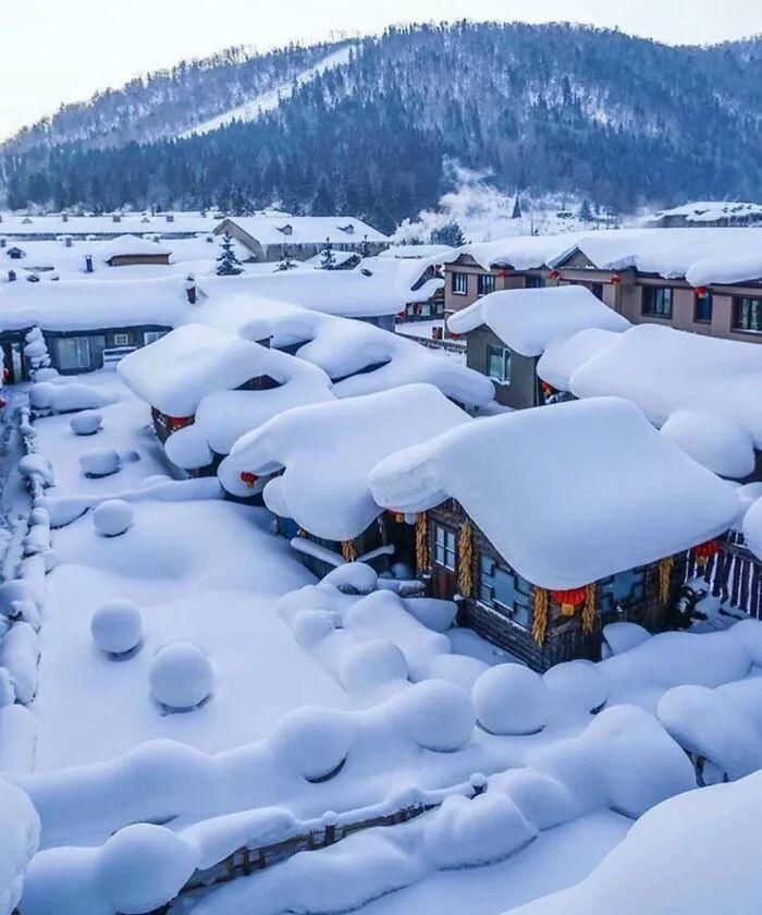 下雪后形成的奇特景观，太有意思了！