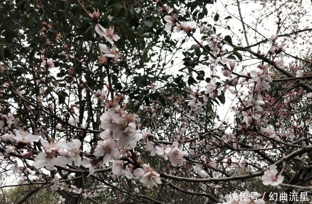 女子|老话说：“女子有红艳，门悬桃花斩”，啥意思？如何压制桃花运？