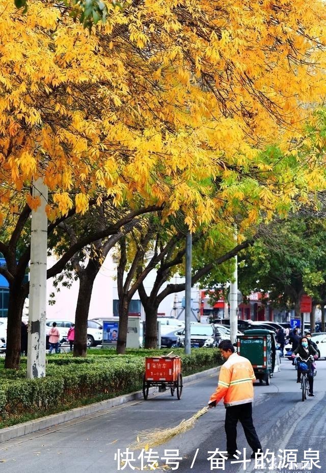  从来不|诗情画意的城市从来不缺美景