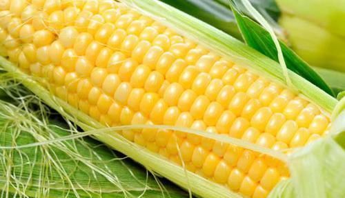 净化|天然的“溶栓王”终于被找到，每天吃一点，净化血液，远离血栓