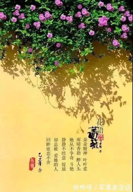 我想有个庭院,有书有茶还有你