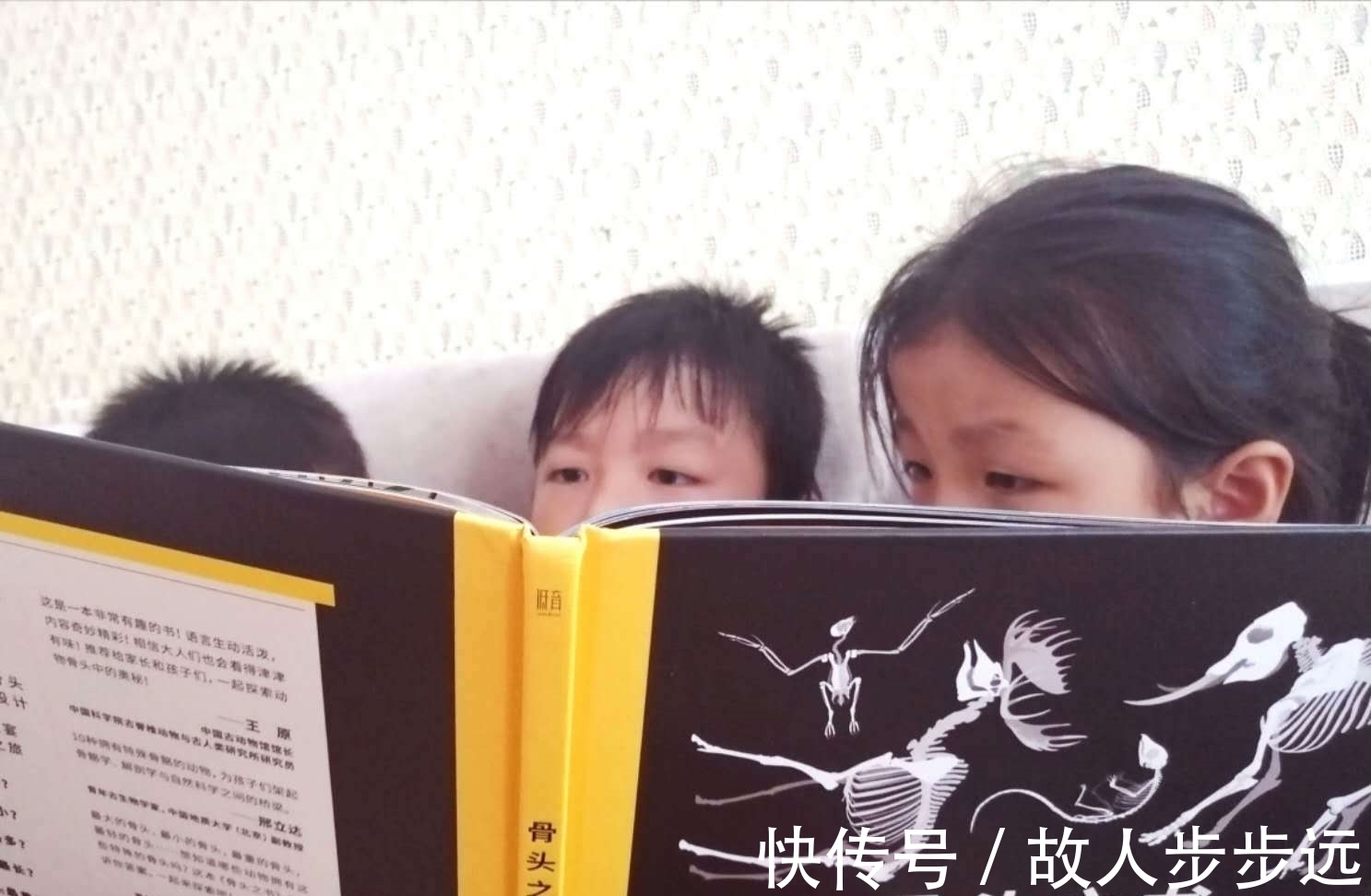 孩子们！一本很有“骨气”的大书，帅气地告诉你10项世界之最