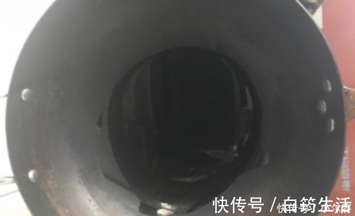 苹果|有一种蔬菜的叶子,吃一顿相当于三斤苹果,多数人却扔掉了