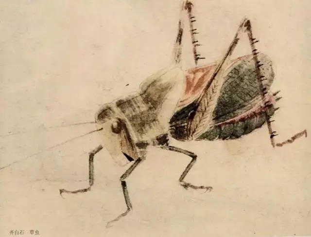 蝈蝈$国画技法图典——草虫篇:蝗虫 蚂蚱 蝈蝈 螽斯 螳螂 蟋蟀
