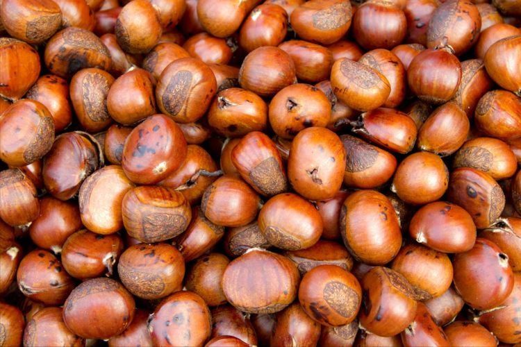 买栗子，挑个头大的还是小的？老农教你5招，皮薄肉多，个个清甜