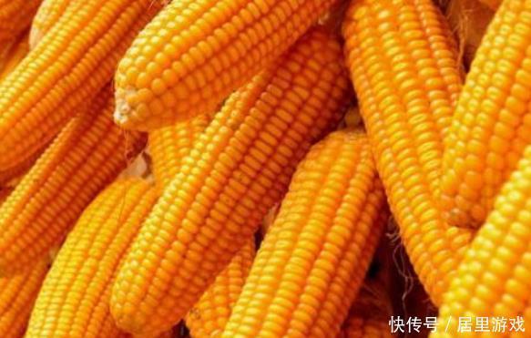  需求|步入老年人饭量就会低，也应确保营养和健康需求，不然健康有危险