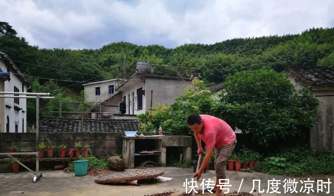 用什么可以去掉腐叶土里的虫?兰友:1块钱就解决