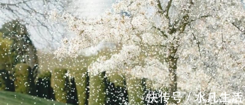 传统节日|韩翃最经典一首诗，整首诗意境优美，同时还充满了深刻的讽刺意味