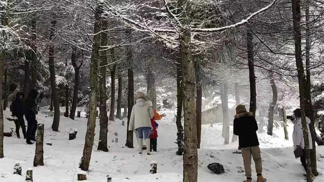 泥巴山解锁“雪景模式”！游客直呼过瘾！