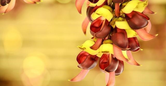 戈兵|一个有教养的人,总会在这四个方面做得很好