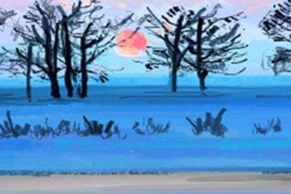 1月9日生日花 月桂花 生日花语蛊惑 快资讯