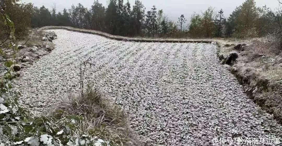 路段实施|凯里小高山一夜白头 最美雪景如约而至