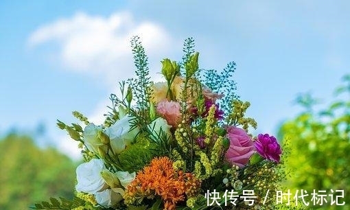 真心|近几天,手摘桃花,勇者无畏,转角相遇,交出真心,多金多福