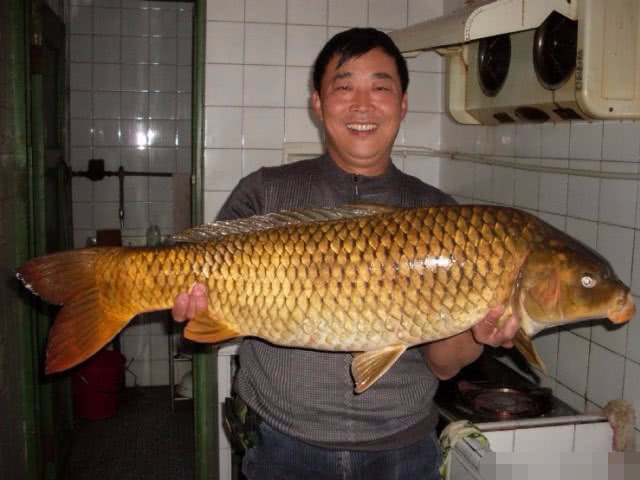 男子钓上35斤的“大鱼”,突现水面上的龙须,网友发了