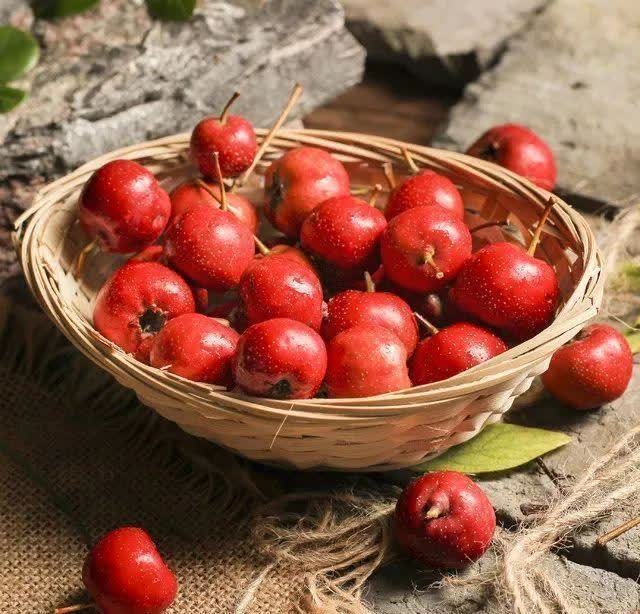 消食积|一把金桔十副药,冬季金桔配一物泡茶,营养双倍,上班族的福音