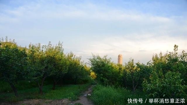 书魂·张柔:轻财重书,《金史》得用(上)韦力撰