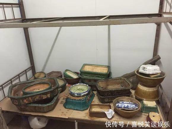 几十个高价花盆,被扔在垃圾桶旁,捡还是不捡?