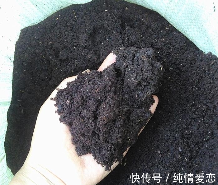 栽种|绿萝用什么土栽种,这三种土壤搭配的方法,用小本本记下来