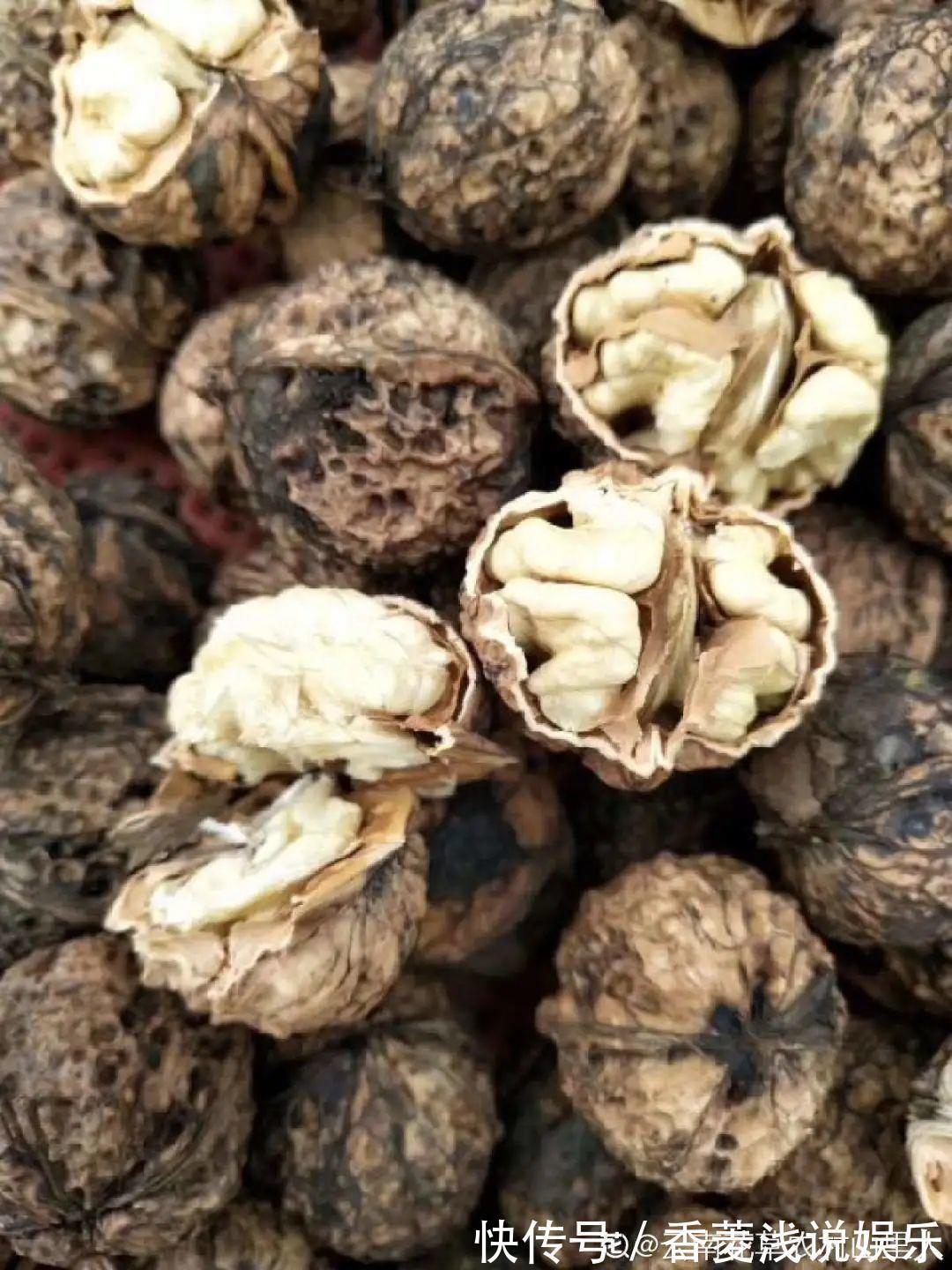 1把核桃垫盆底,不烂根、不招虫,疯长停不下来!