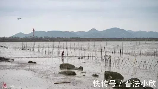 拆迁|签订安置补偿协议,你要注意这些!