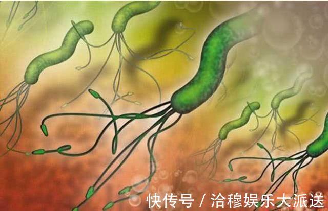 膳食纤维|为什么说“富人得肠癌,穷人得胃癌”分别要注意什么说清楚了