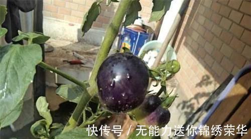 食物|每天可以坚持吃3种食物，排毒瘦身，美白皮肤，越吃越年轻！