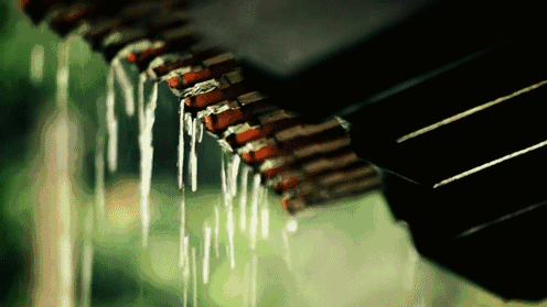 自在飞花轻似梦|诗词丨半城烟雨始入画，一笺清夏浅浅来