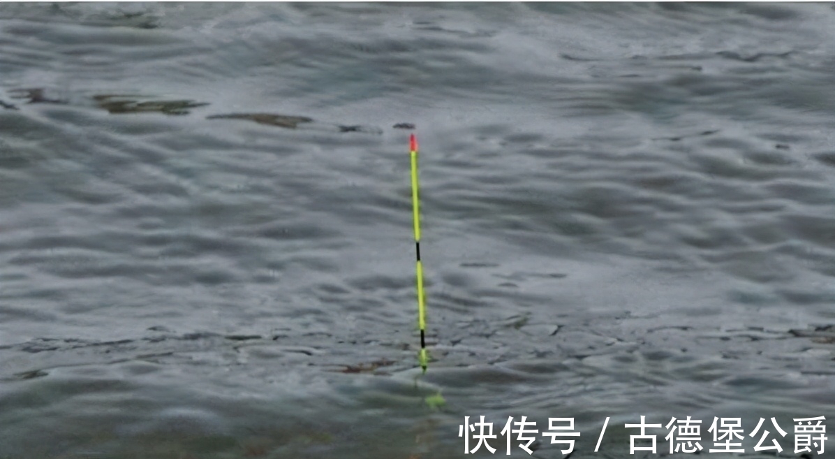 钓鱼|搞明白浮漂产生动作的原因,就知道怎么钓鱼了