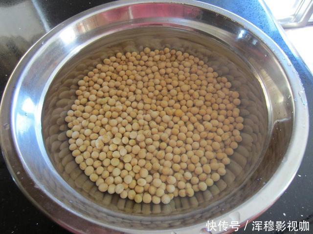 豆芽不用花钱买,用一个塑料袋就够了,一茬接一茬,安全靠谱